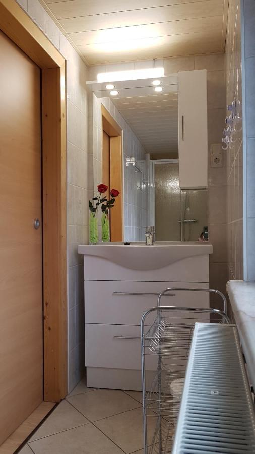 Ferienwohnung Berndt Oberweißbach Eksteriør bilde