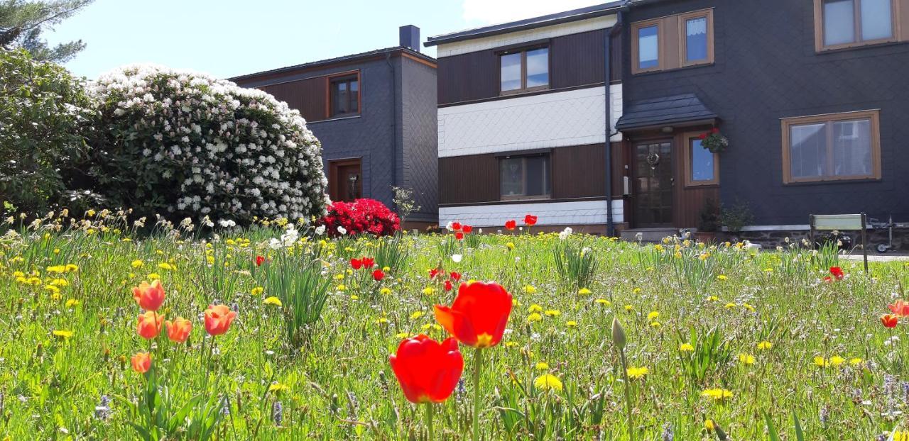 Ferienwohnung Berndt Oberweißbach Eksteriør bilde
